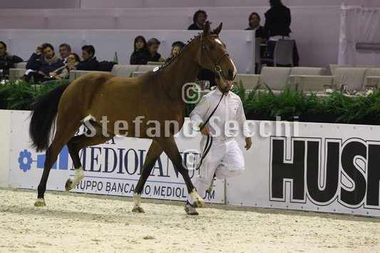 NADA BRAUN_MILANO_2010_SS3_3992.jpg